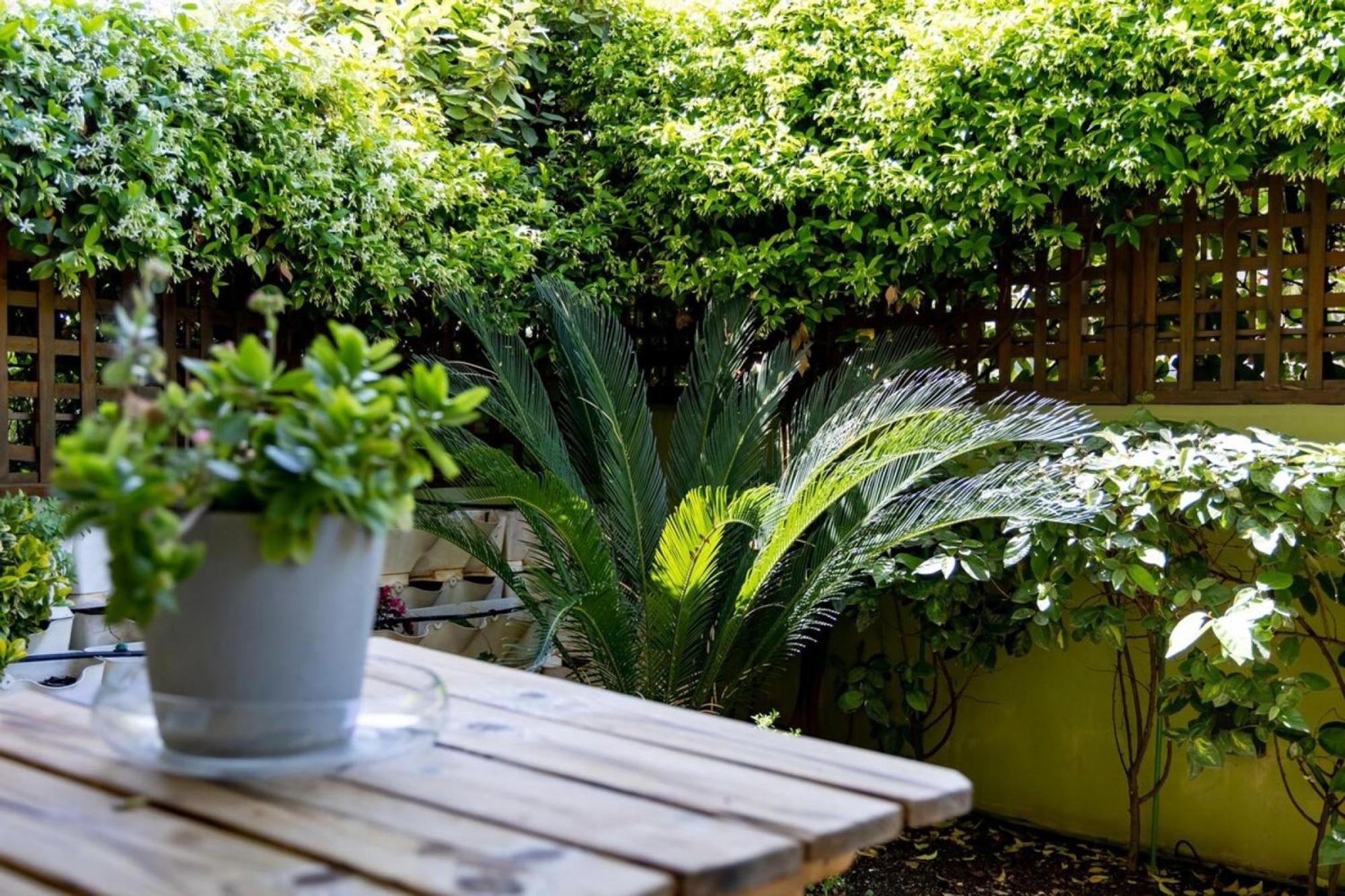 Ferienwohnung The Garden House At Alimos Athen Exterior foto